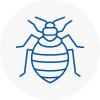 Bed Bug Extermination In Haslingden